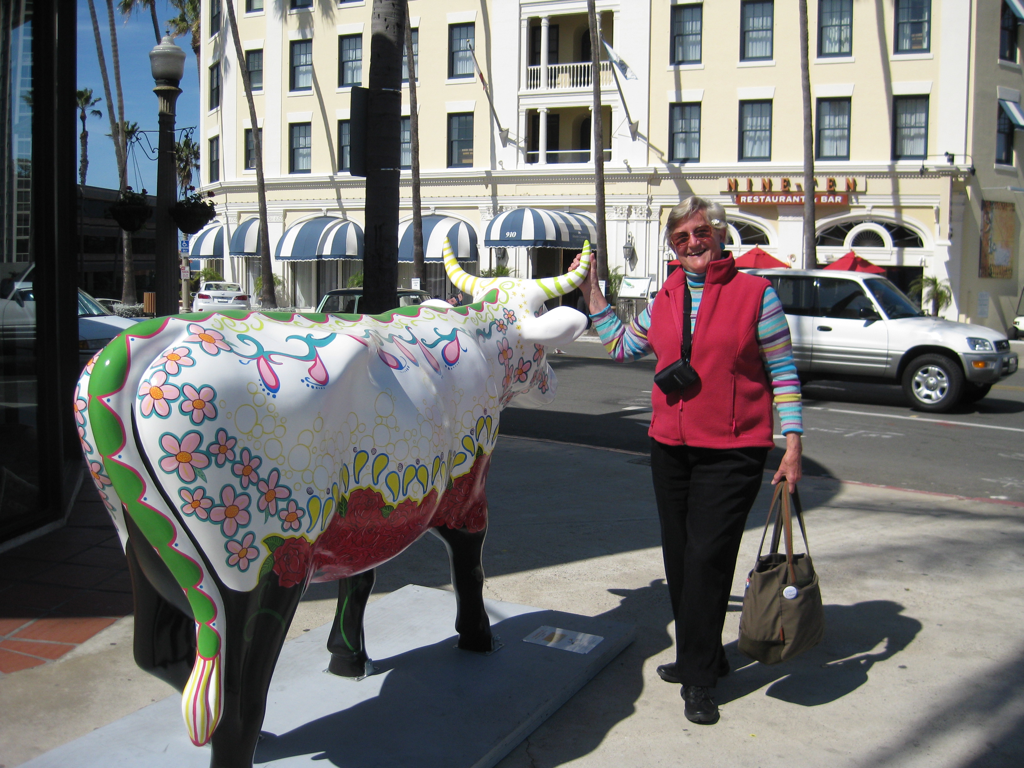 Cows in La Jolla? Sure!